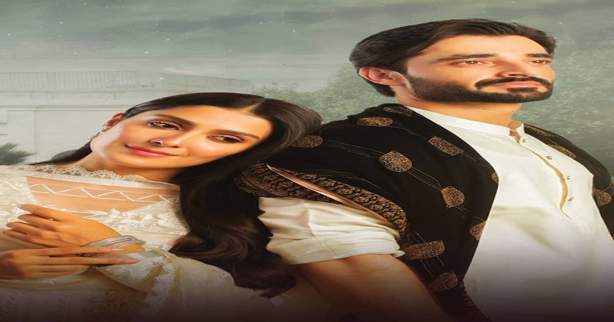 Kabhi Mein Kabhi Tum to Mere Humsafar: Top 10 romantic Pakistani dramas that will surely give you butterflies