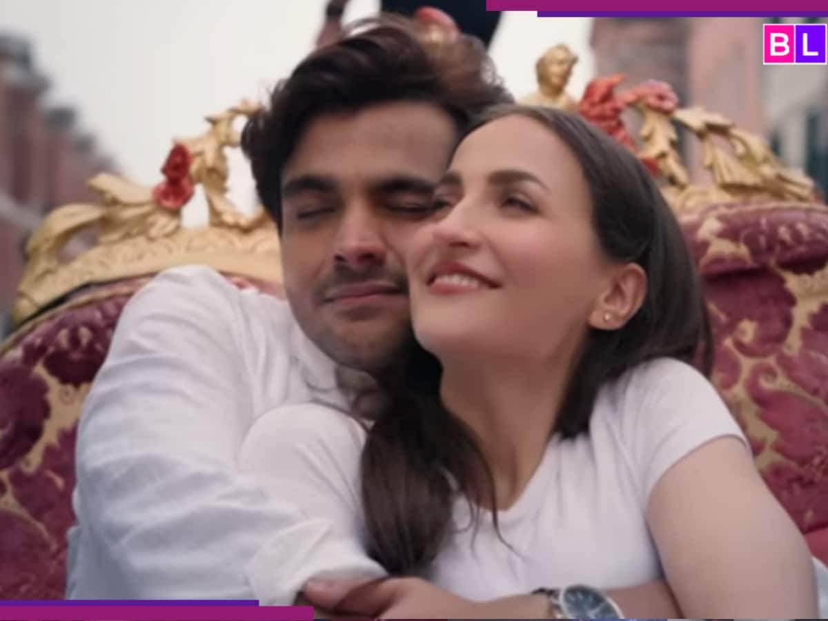 Ashish Chanchalani, Elli AvrRam not in relationship? VIRAL post was meant for…, fans react