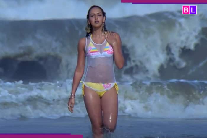 THIS film became a cult classic, with the success of its first film, two more sequels were made, earning…, has an IMDb rating of…, the film is…