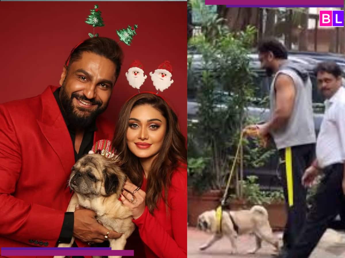 Why did Parag Tyagi take his pet dog out for a walk right after wife’s sudden demise?