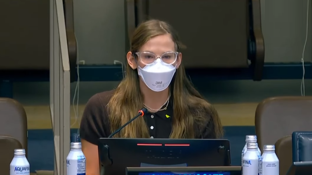 Violet Affleck Bombarded with Insults & Threats After UN Speech