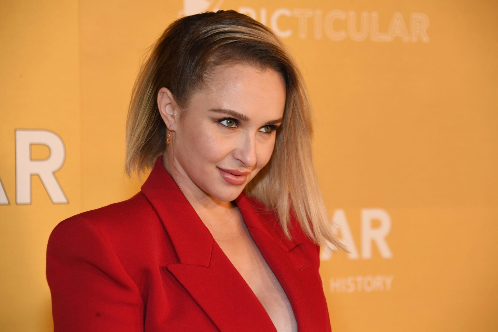 Hayden Panettiere’s Controversial Boyfriend, Past Abuse Allegations Receive Renewed Scrutiny