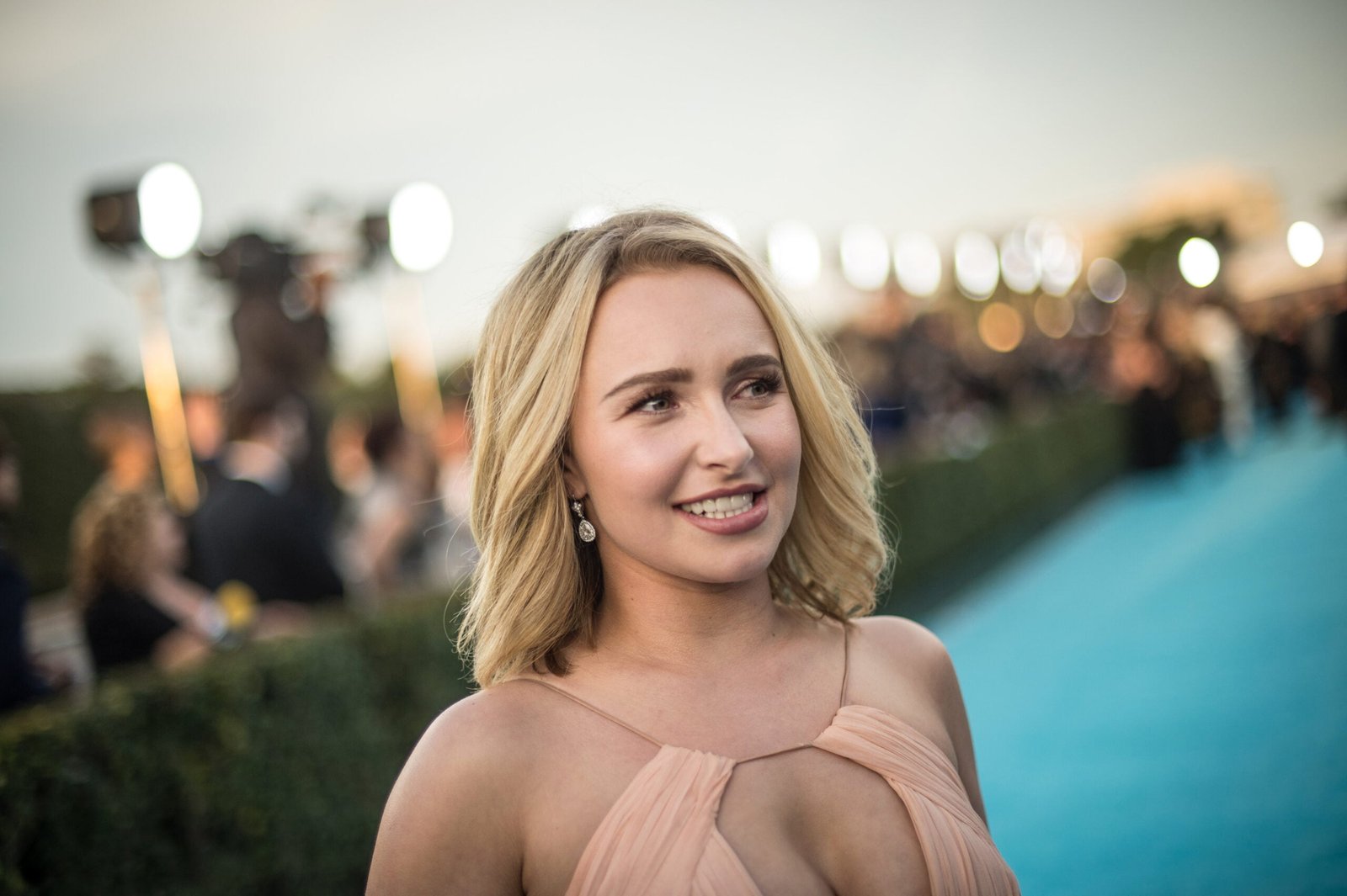 Hayden Panettiere Tried to Have Alcohol, Nitrous Oxide Delivered to Hotel Room Before Death: Report